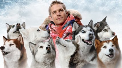 那些催人泪下的狗狗电影大盘点,介绍几个好看的关于狗狗的电影