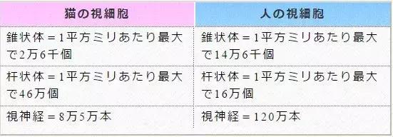 又近视又散光,有近视但是眼睛很亮