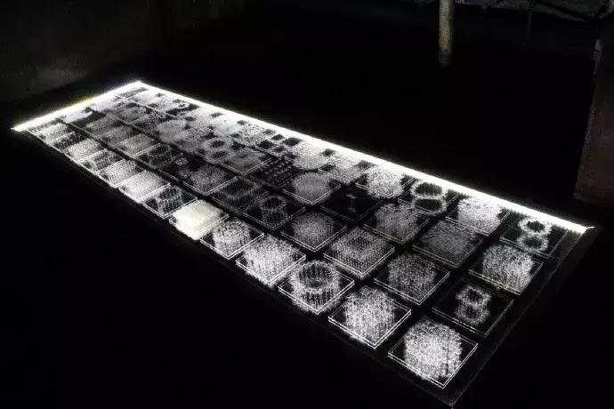 日本木雕艺术家蒲公英,巨型蒲公英雕塑造型唯美