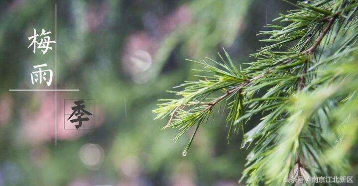梅雨季节谨防哪些疾病,梅雨季小心病从口入
