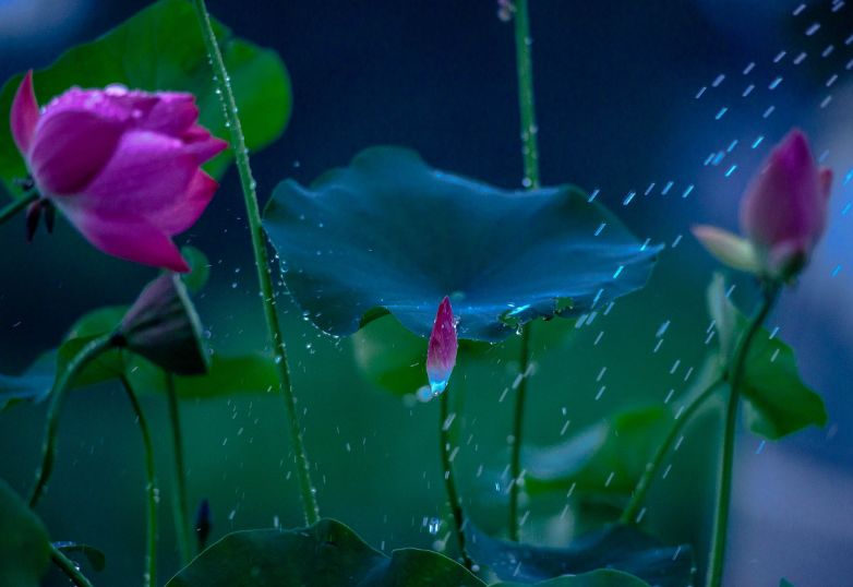 管恩锋十首经典歌曲,管恩锋