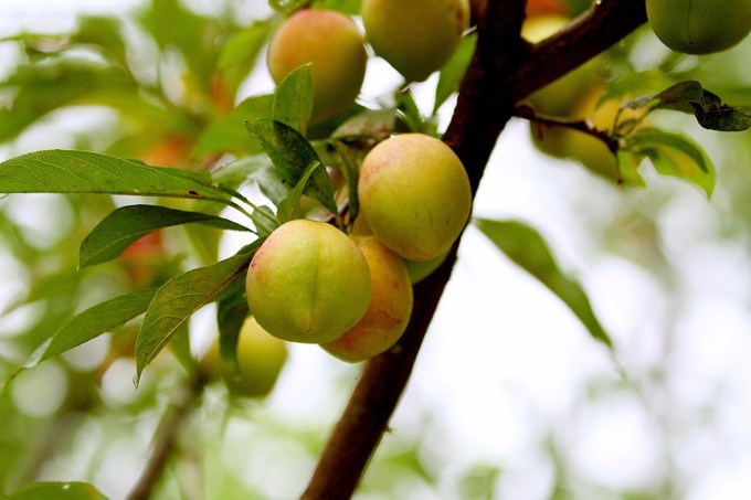 只知道北戴河？快来看看东戴河周恭府度假村-未被世人发现的海滨