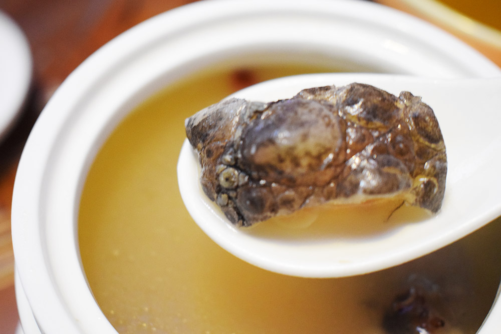 来海口吃羊肉,海南地道东山羊