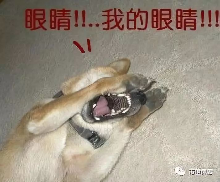 不是st的低价股,不是st股票跌破一元退市的有哪些