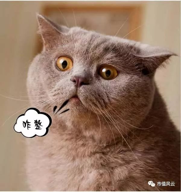 不是st的低价股,不是st股票跌破一元退市的有哪些