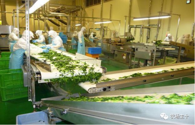 我想在农村建个冷库有前景吗,想在农村建个冷库