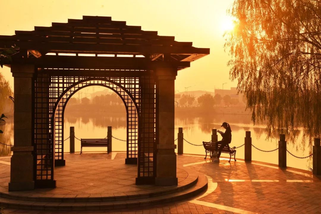 6个理由,浙江越秀外国语学院真实评价