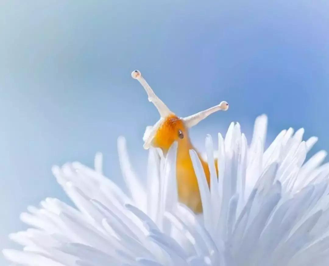 做个花心的女人视频,做个花心的女人歌曲