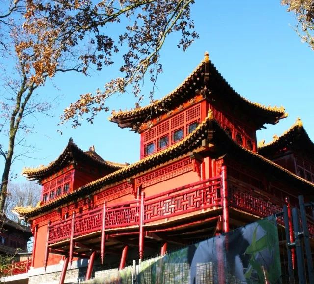 世界上最高龄大熊猫,大熊猫战兽