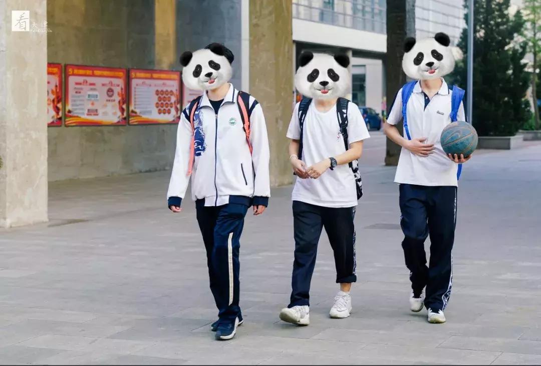 天津各学区的校服,天津市各个学校校服