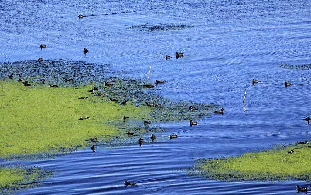 筑宜居之地，一巷炊烟足以慰风尘