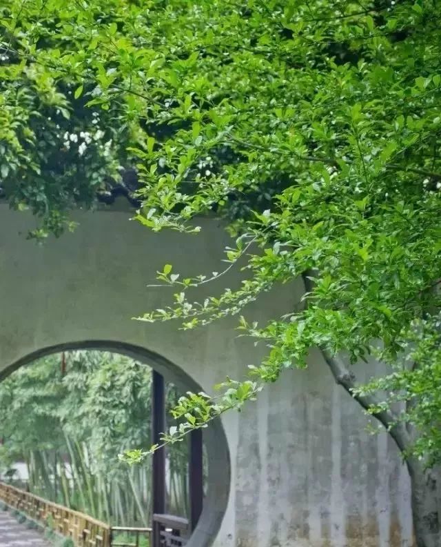 滁州最美小镇排名前十,安徽省内滁州小镇