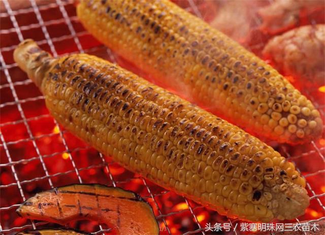 梨木台古树农家院,蓟县梨木台兴业缘农家院