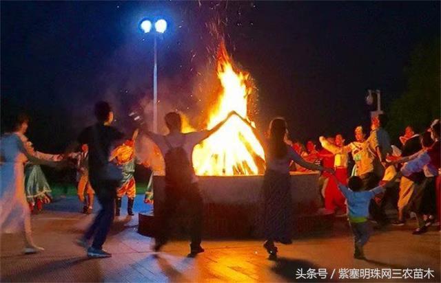 梨木台古树农家院,蓟县梨木台兴业缘农家院