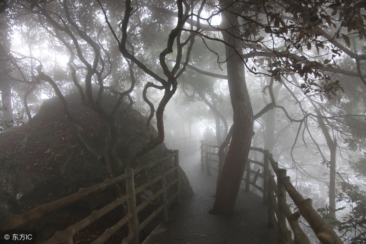 纳凉客们的第一次面基