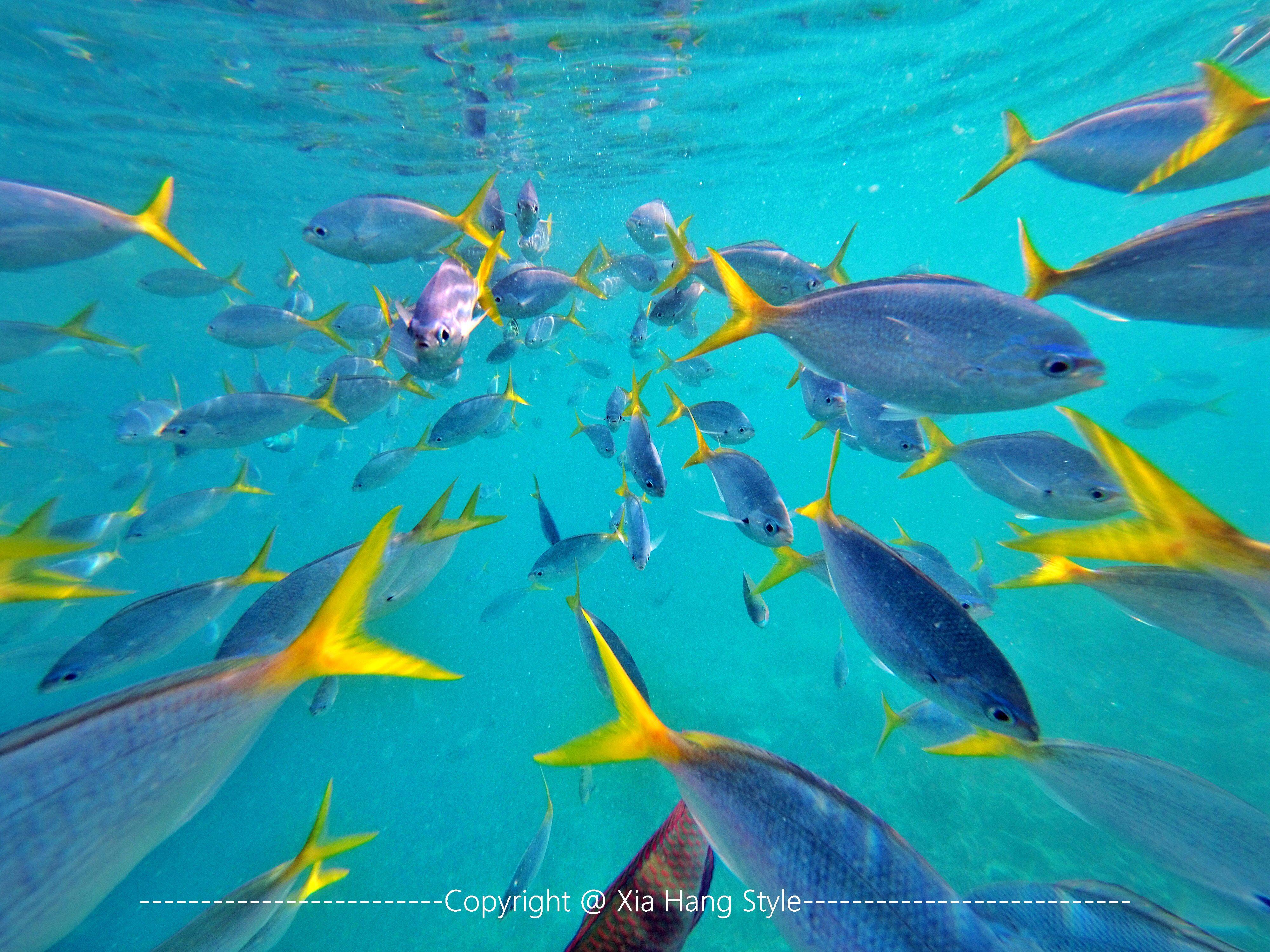 世界上人口最少的岛国，先后被4个国家统治，却是潜水者的天堂