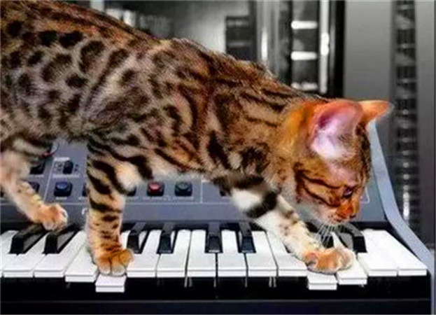 世界杯和国足身价对比,世界杯足球队价值排行榜