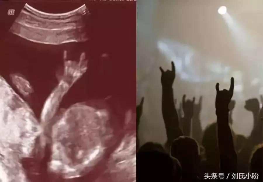 宝宝在肚子里胎动是怎样的,胎动时宝宝在肚子里做什么呀