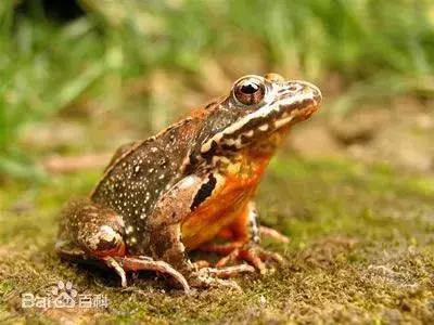 女孩10岁没来例假长青春痘,16岁女孩一个月没来例假