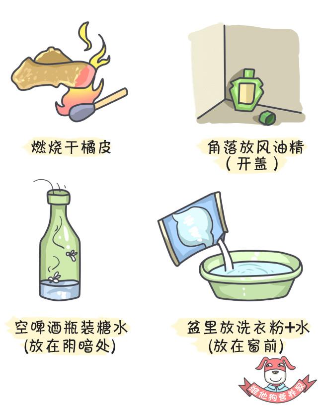 鍚歌铓婂瓙婕敾,鍏充簬铓婂瓙婕敾