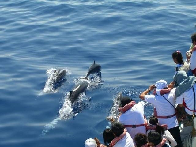 去台湾旅游出行方便吗,去台湾旅游能用手机支付吗