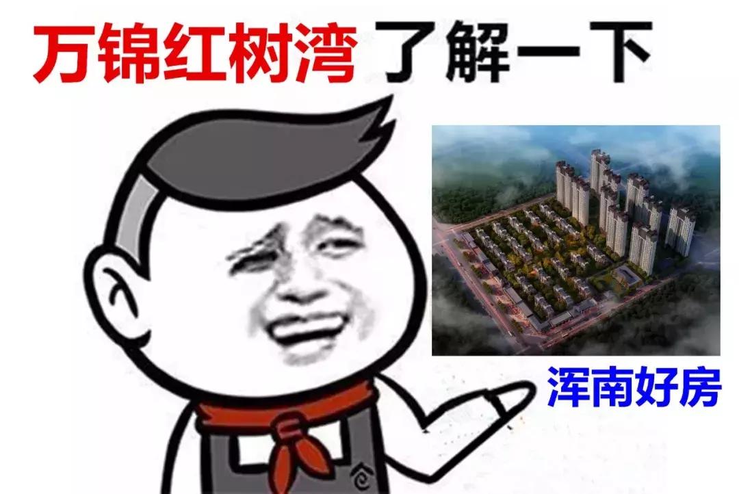 世界杯卢卡库错失三球,盘点卢卡库令人叹服的30粒进球