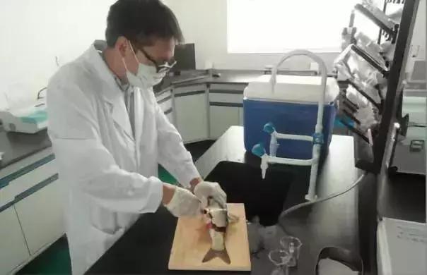 肇庆市场的景色,肇庆新开的农贸市场