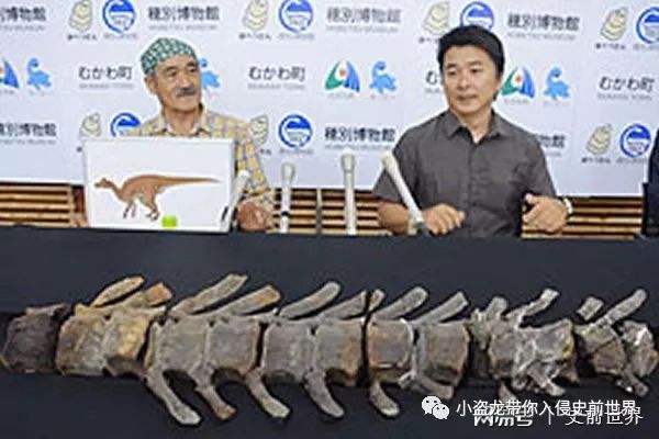 在日本发现的恐龙化石,史上最完好的恐龙化石