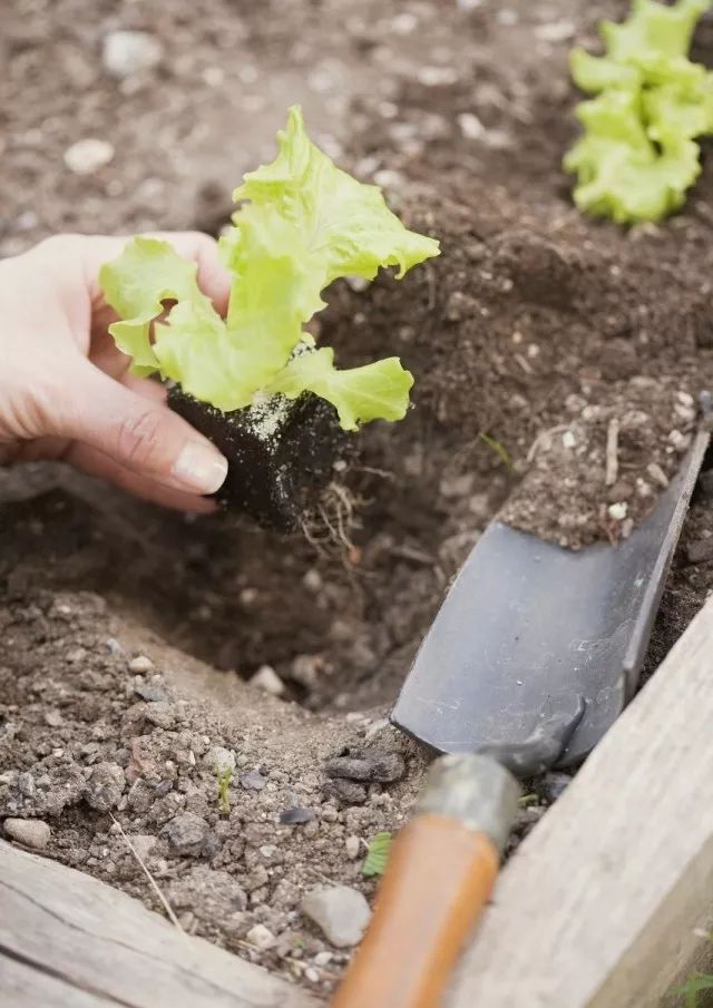 自己制作生物堆肥教程,园艺半干半湿废弃物堆肥发酵