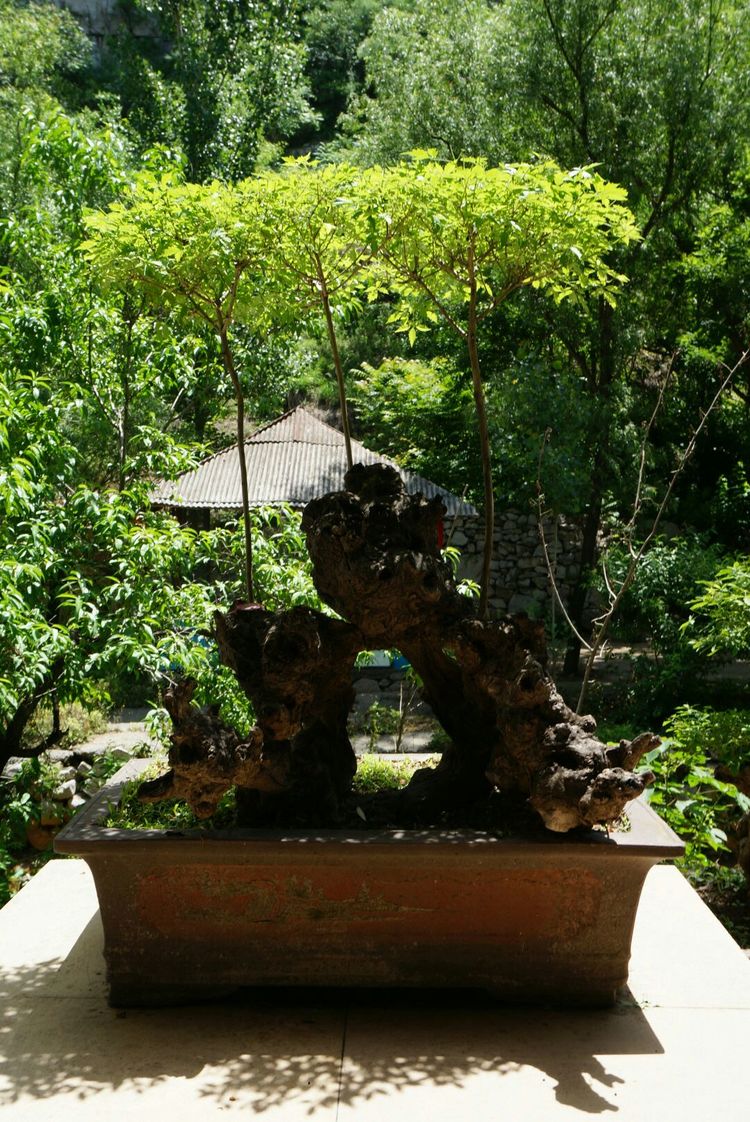 天晴湾风景区,淄川天晴湾