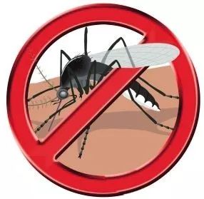 暴雨过后，对于这个烦人的小东西，我们准备了8招~