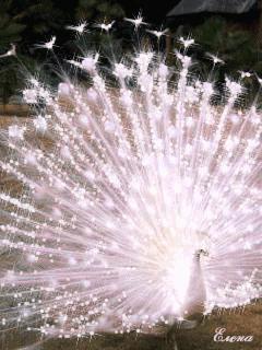 枫林诗苑对联集,枫林诗苑对联大全