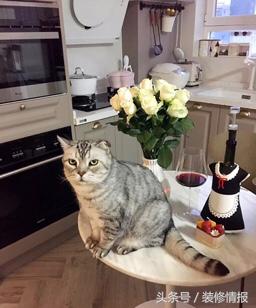 70平的两室够一家三口住吗,70平方的两室一厅有多大