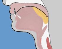 健康之路|2种口腔异味预示着身体“危机”!中招的人都要重视