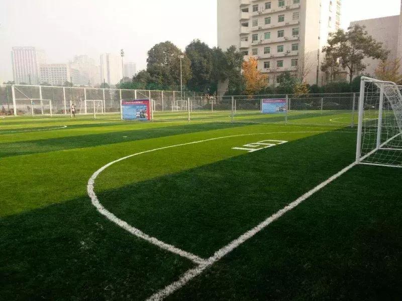 窝在家看世界,窝在家看世界杯视频