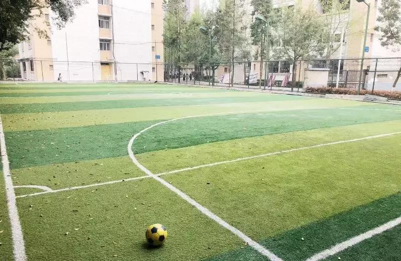 窝家里看世界杯,窝在家看世界杯视频