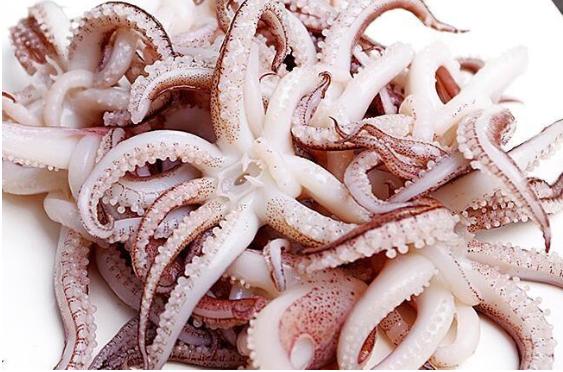 冰鱿鱼怎么处理最干净,鱿鱼怎么处理最干净视频