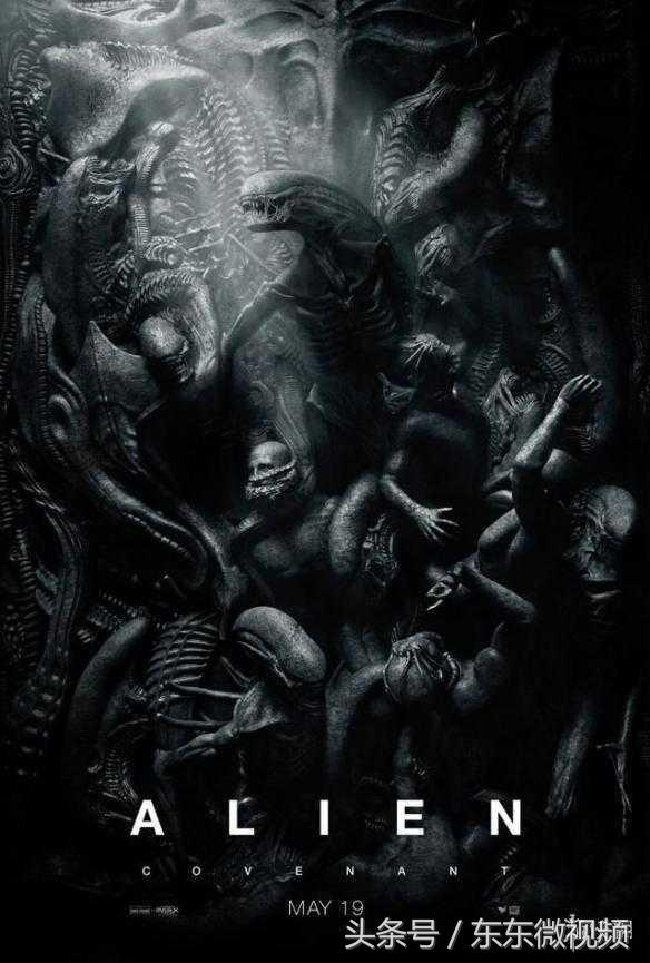 异形大战铁血战士进化史,异形起源异形进化史