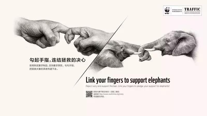 贴吧被永久封禁理由,贴吧被永久封禁