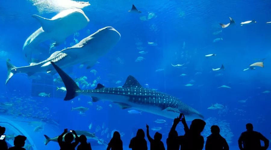 孩子还小有必要带去旅游吗,孩子还小有必要带他去旅行吗