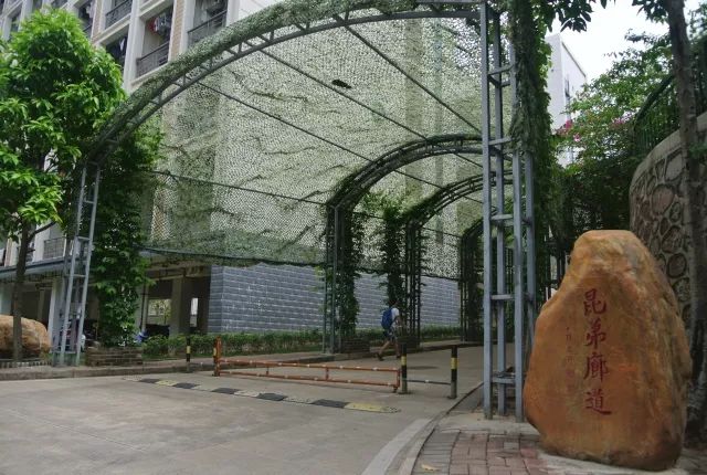 广西高校宿舍大比拼谁家段位最出众