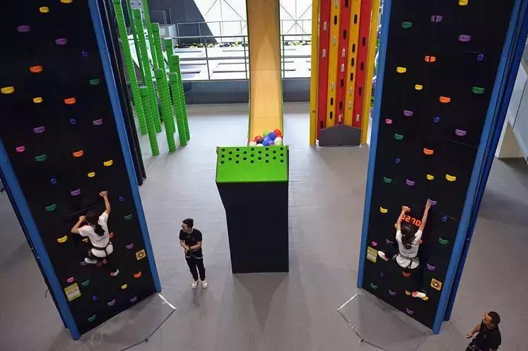 全球只有中国才有的动物,全球唯一的动物