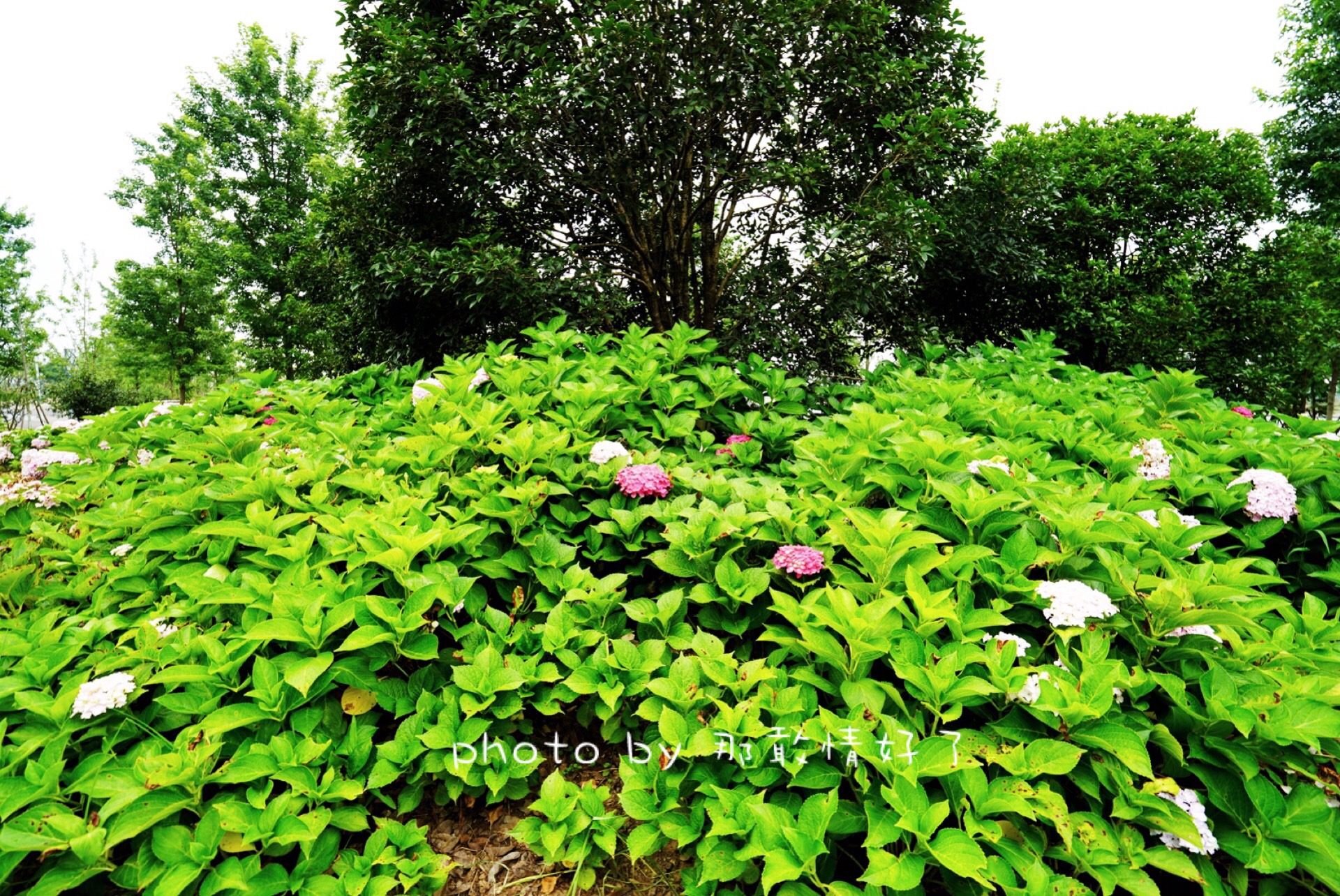 滁州小众的地方,滁州小众