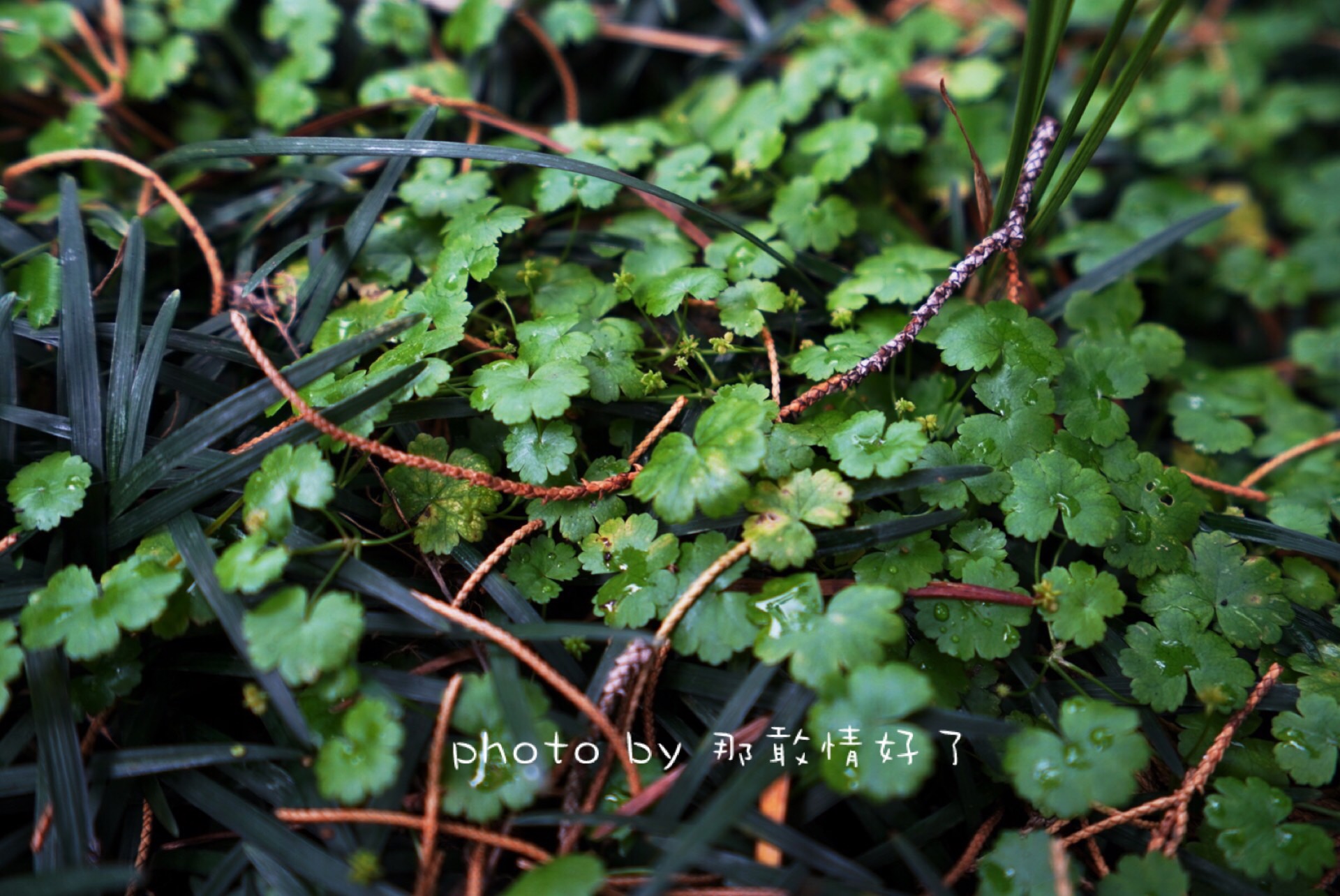 春节滁州小众景区游,滁州人文古城旅游攻略