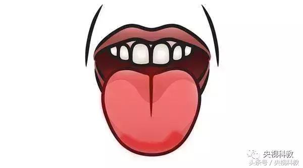 健康之路｜口甜、口咸、口淡的朋友们看过来！