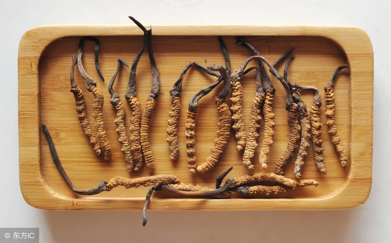 用补药，对症才见效常见中药补阳药，详细对比