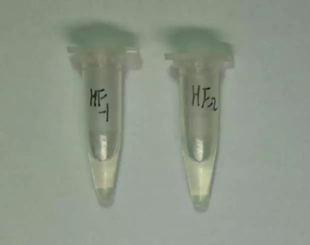 珍爱生命远离烟草毒品心得体会,珍爱生命远离毒品的知识图片