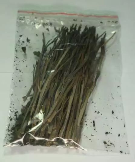 全国人民禁毒法规定禁毒是什么,国家禁毒相关法规内容