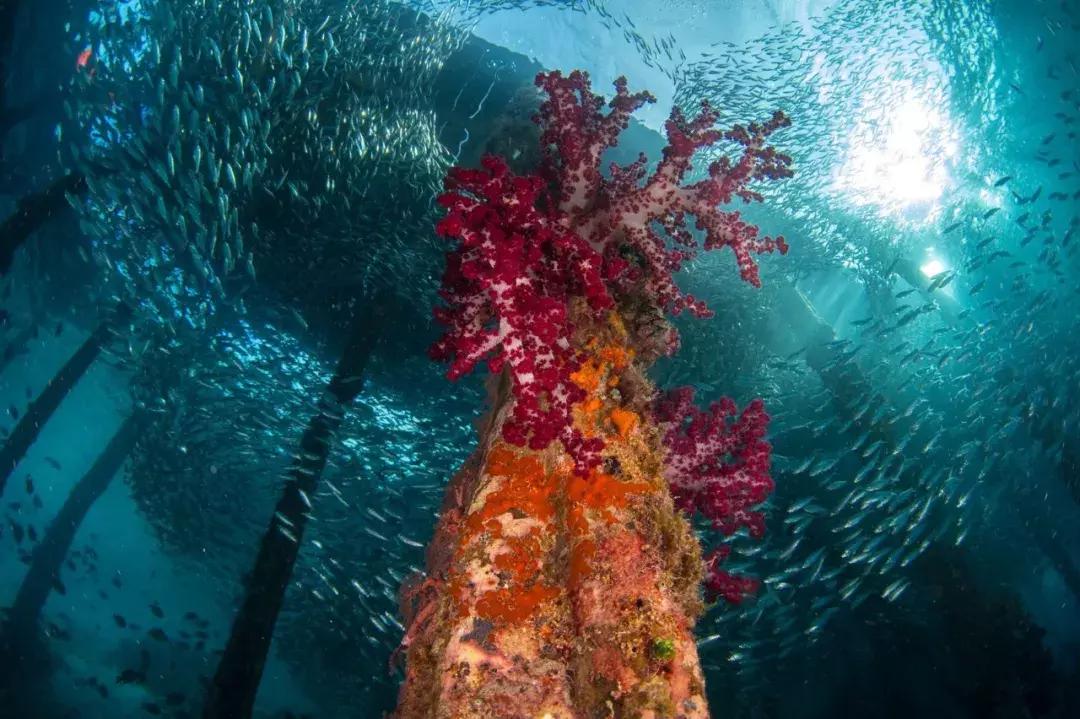 上半年大片,上半年大片推荐