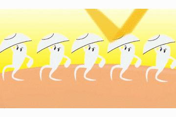 防晒介绍,防晒科普视频